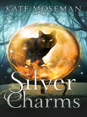 cover image of Silver Charms